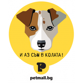 Стикер за кола 